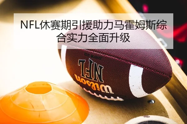 NFL休赛期引援助力马霍姆斯综合实力全面升级