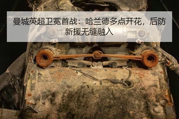 man-cheng-ying-chao-wei-mian-shou-zhan-ha-lan-de-duo-dian-kai-hua-hou-fang-xin-yuan-wu-feng-rong-ru-3-776.jpg