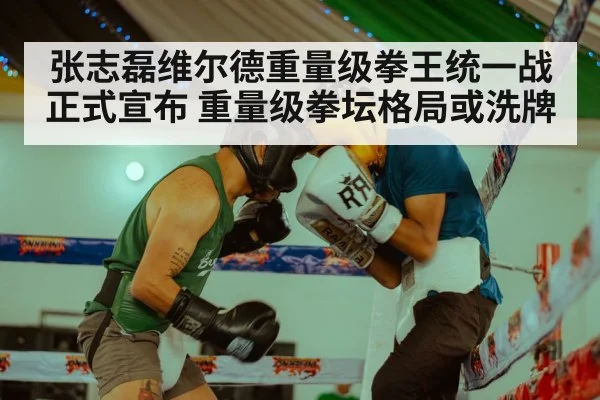 张志磊维尔德重量级拳王统一战正式宣布 重量级拳坛格局或洗牌
