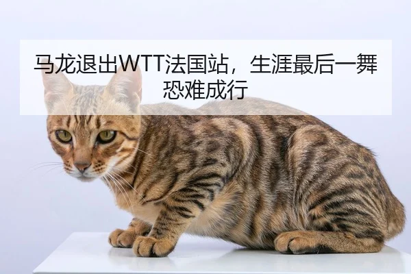 ma-long-tui-chu-fa-guo-zhan-sheng-ya-zui-hou-yi-wu-kong-nan-cheng-hang-2-466.jpg