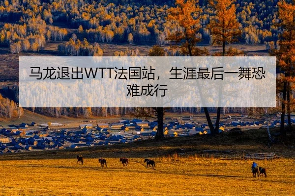 马龙退出WTT法国站，生涯最后一舞恐难成行